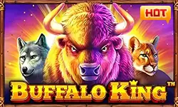 Buffalo King