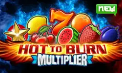 Hot to Burn Multiplier