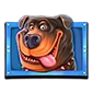 TheDogHouseMegawayssymbol1