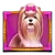 TheDogHouseMegawayssymbol2
